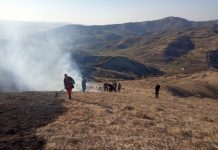 Atenție mare: Foc de vegetație uscată la Bogdan Vodă (foto)