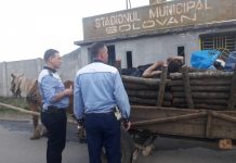 L-A LUAT SOMNUL: Un căruțaș beat criță a adormit în mijlocul soșelei. Poliția rutieră a intervenit (foto/video exclusiv – actualizare)