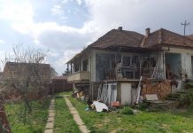 CRIMĂ ÎN BAIA MARE: Un băimărean ar fi fost ucis de unul dintre vecini. Legiștii spun că a fost infarct (FOTO – actualizare)