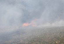 Tragedie la Dragomirești: Doi oameni găsiți morți într-un incendiu de vegetație uscată