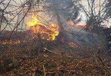 La foc continuu: Foc la Moisei, Bocicoel, Dragomirești, Rona de Jos, Vișeu de Sus, Vișeu de Jos, Groși, Bozânta Mică și Borșa (galerie foto)