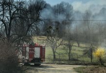 ARDE PĂDUREA: Foc violent pe Dealul Roșia din Remetea Chioarului (galerie foto – Actualizare)