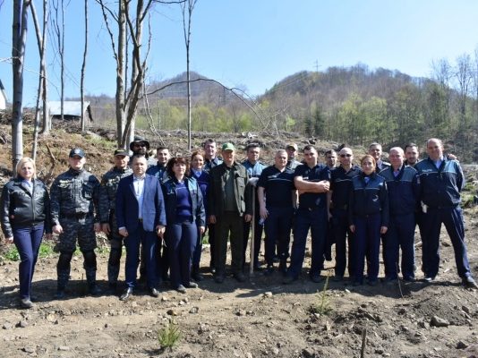 CAMPANIE: Polițiștii și elevii au plantat puieți în Baia Sprie (GALERIE FOTO)