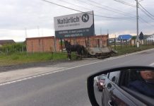 ACCIDENT: O căruță a fost lovită de mașină pe DN1C în zona Dealul Dura (foto)