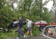 URMĂRI COD ROȘU: Pagube uriașe în Baia Mare și Hideaga. Un copac a căzut peste o mașină în care erau 3 copii și un adult (foto/video)
