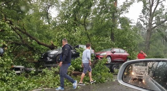 URMĂRI COD ROȘU: Pagube uriașe în Baia Mare și Hideaga. Un copac a căzut peste o mașină în care erau 3 copii și un adult (foto/video)