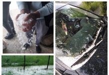 FURTUNĂ ÎN MARAMUREȘ: Gheața a pus la pământ culturi la Satulung. Cod portocaliu și galben în tot județul (foto)