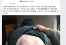 BĂTUT FĂRĂ MILĂ: Un cioban din Sarasău, snopit în bătaie de un localnic. Motivul: ar fi păscut oile pe terenul lui (galerie foto șocantă)