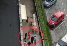 EXCLUSIVITATE: Bătaie pe Bd. Traian din Baia Mare (GALERIE FOTO,VIDEO)