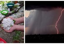 Alertă meteo. Vijelii şi furtuni puternice lovesc în toată ţara. Grindina a pus culturile la pământ în Urmeniș, Maramureș (foto/video)