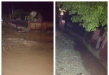 NUMAI PE ASCUNS: Carmen Dan, dusă astăzi la 4 dimineața la Săliștea de Sus. Dăncilă va fi ferită astăzi de public în Baia Mare