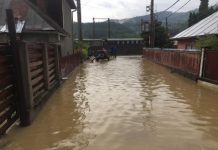 INUNDAŢII: Curți inundate la Vișeu de Sus și Dragomirești (foto/video – Actualizare)