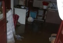 PRAPAD LA SUCIU DE SUS ȘI SUCIU DE JOS: Curți și case indundate, drum acoperit de ape (foto/video cititori)