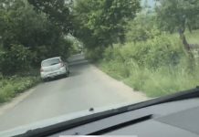 IMAGINI ȘOCANTE: Un bărbat a fost filmat mergând din șanț în șanț după ce a ieșit dintr-un bar (foto/video)