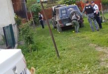 EXCLUSIVITATE: Borșeanul BUTANU i-a lăsat cu ochii-n soare pe polițiștii de la Brigada Poliției Rutiere a Capitalei. Reacția IPJ Maramureș (ACTUALIZARE)