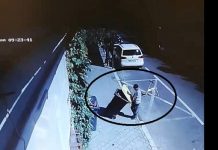 AM AJUNS DE RÂSUL LUMII: Se fură tomberoanele pline cu gunoi din Baia Mare (foto/video cameră supraveghere)