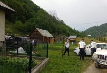 EXCLUSIV: URMARE FETIȚĂ ÎMPUȘCATĂ – ”Commando”-ul Brigăzii Rutiere abia a scăpat de furia localnicilor