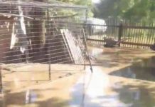 SITUAȚII DE URGENȚĂ – Măsuri luate de CJSU Maramureș pe durata codurilor galben și portocaliu