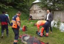 GALERIE FOTO: Un bărbat din Bârsana a murit după ce s-a răsturnat cu tractorul