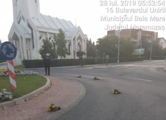 DISTRUGERE ÎN BAIA MARE: O femeie a devastat sensul giratoriu de lângă Sala Sporturilor