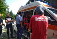 FOTO – SALVAMONT ÎN ACȚIUNE: Un copac a căzut peste un muncitor în munții Gutâi