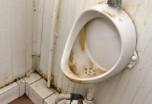 ÎN DRUM SPRE MARAMUREȘ – TURIȘTI FRANCEZI: ”Unde am ajuns?” Autogara Satu Mare focar de infecție. Bonus – ciorile au pus stăpânire pe parc (GALERIE FOTO)