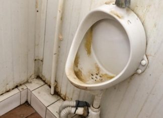 ÎN DRUM SPRE MARAMUREȘ – TURIȘTI FRANCEZI: ”Unde am ajuns?” Autogara Satu Mare focar de infecție. Bonus – ciorile au pus stăpânire pe parc (GALERIE FOTO)