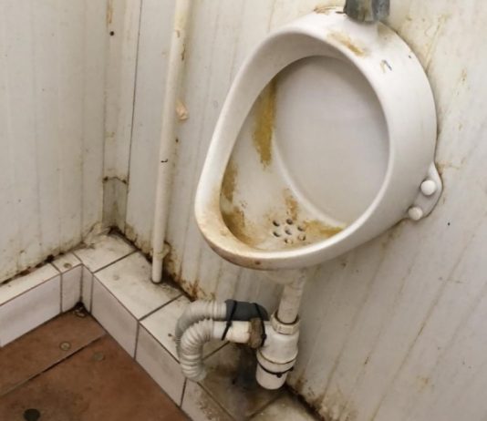 ÎN DRUM SPRE MARAMUREȘ – TURIȘTI FRANCEZI: ”Unde am ajuns?” Autogara Satu Mare focar de infecție. Bonus – ciorile au pus stăpânire pe parc (GALERIE FOTO)
