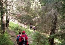BORȘA: Turişti rătăciţi pe munte, găsiţi de jandarmii montani (foto)