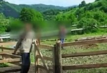 DETALII ȘOCANTE DIN MOTIVAREA ARESTĂRII PREVENTIVE: Tinerii germani de la Vișeul de Sus erau legați cu funii și înhămați la căruță