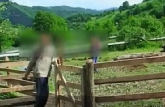 DETALII ȘOCANTE DIN MOTIVAREA ARESTĂRII PREVENTIVE: Tinerii germani de la Vișeul de Sus erau legați cu funii și înhămați la căruță