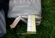 VALEA VIȘEULUI: Aproximativ 8.000 de pachete cu ţigări confiscate la frontiera de nord (foto)