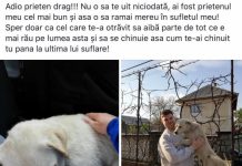 EXCLUSIV – FOTO: CRIME ÎN SERIE LA CHECHIȘ / Câinii localnicilor sunt uciși rând pe rând (actualizare)