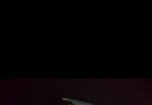 MUNȚII RODNEI: Turist polonez atacat de o ursoaică cu pui. Salvamontiștii maramureşeni l-au găsit adăpostit într-o baracă (FOTO)