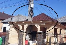 FOTO INCREDIBIL – SĂLIȘTEA DE SUS: Și-a făcut casă din lemn în jurul stâlpului de electricitate. Are oare autorizație de construcție?