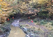 Cum a fost executat cu propria armă pădurarul din Maramureș. Directorul Romsilva, detalii exclusive din anchetă