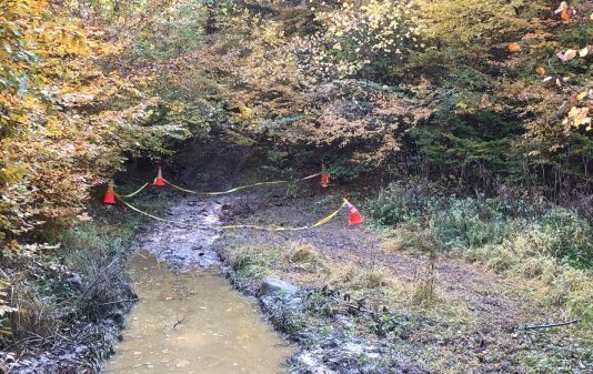 Cazul pădurarului ucis în Maramureș a ajuns la BBC. Ce relatează postul public de televiziune de la Londra