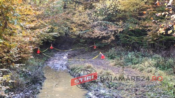 PHOTO-2019-10-17-12-22-13