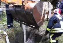 MISIUNE DIFICILĂ A POMPIERILOR BĂIMĂRENI: Un cal a fost salvat după ce a căzut într-un bazin (galerie foto/video)