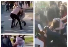 EXCLUSIV – ACTUALIZARE – BĂTAIE CRUNTĂ – Două adolescente s-au păruit în Parcul Mara din Baia Mare. Și-au împărțit pumni și picioare în văzul colegilor (VIDEO/FOTO)