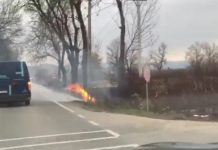 INCONȘTIENȚI: Au aprins miriștea iar focul a ajuns la DN1C. Traficul în pericol (FOTO/VIDEO EXCLUSIV)