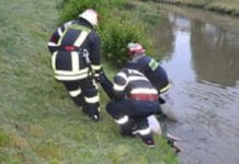 PREMIERĂ: Bărbat înecat în râul Iza la Sighetu Marmației în zona podului Ronișoara (ACTUALIZARE)