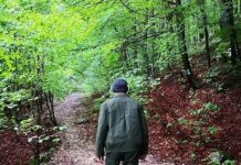 EXCLUSIV – CAZ CRIMĂ ÎN PĂDURE – Alertă în Maramureș! Pădurarii vor fi însoțiți de polițiști și jandarmi! Ce spune șeful ROMSILVA