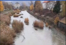 POLUARE? – Râul Săsar, acoperit de… spumă, în Baia Mare (VIDEO/FOTO)