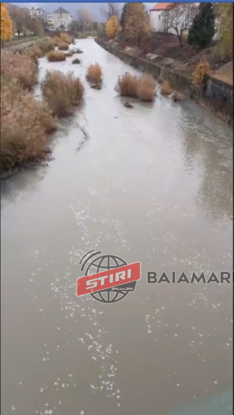 spuma sasar bm 14 nov 19