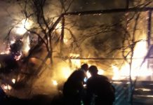 INCENDIU VIOLENT: Un șopron a ars ca o torță la Asuaju de Sus (galerie foto)