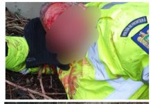 EXCLUSIV – IMAGINI DURE: Polițist de frontieră accidentat de o mașină la locul unui accident. Nimeni nu a scos nimeni nicio vorbă (ACTUALIZARE)