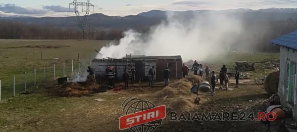 PHOTO-2019-12-29-13-06-02