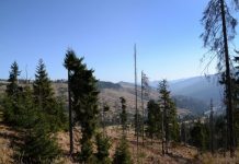 EXPLOZIV ÎN PRESA BELGIANĂ: „În Maramureș sunteți pe cont propriu. Acesta a fost răspunsul poliției când am cerut protecție”