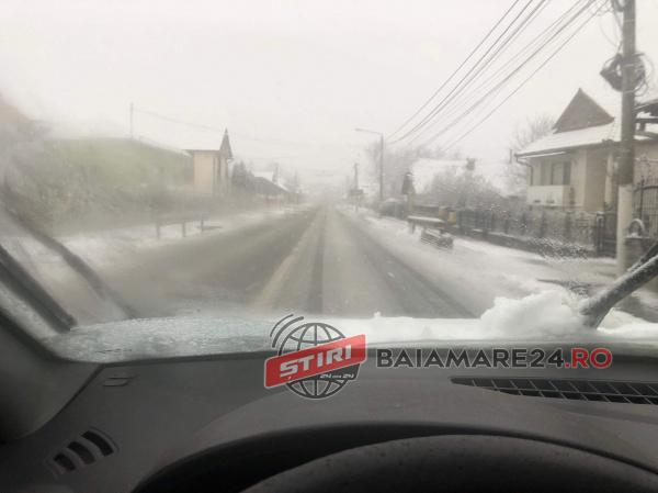 dn1c-carosabil-2-dec-19-2